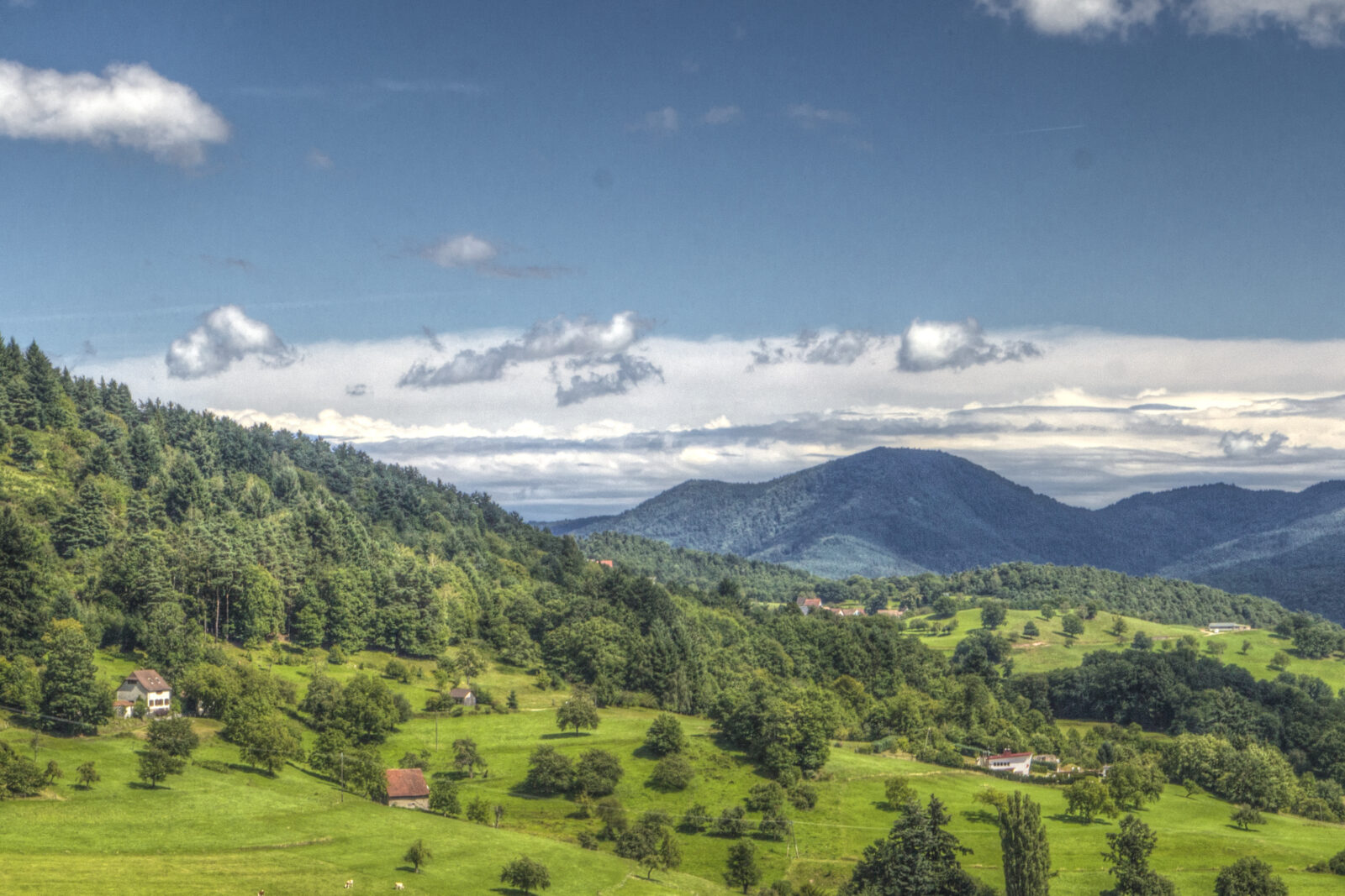 paysages vallee munster