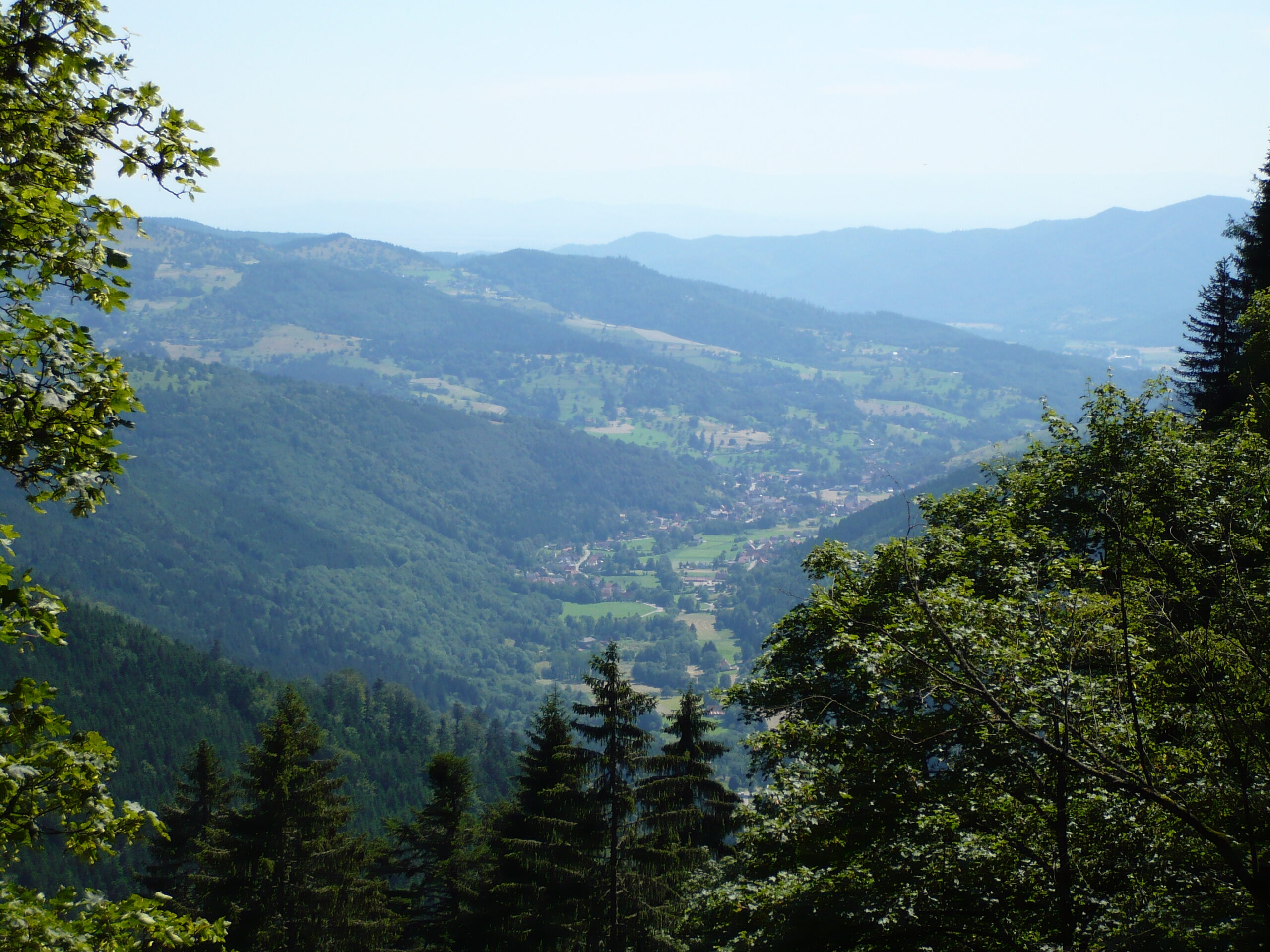 vallee de munster randonnees