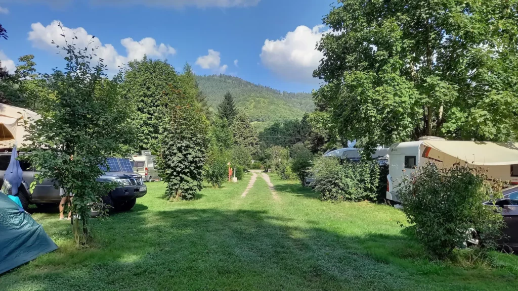 Allée enherbée entre les emplacements du camping, au pied des collines boisées de la vallée de Munster