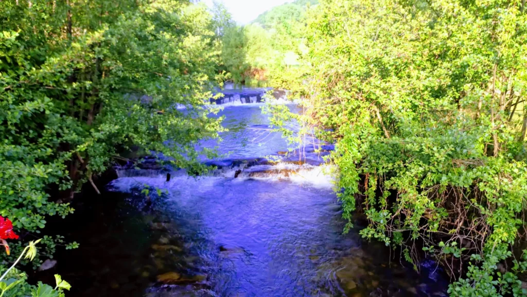 Rivière ombragée au bord du camping